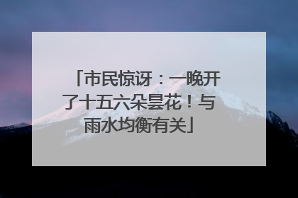 市民惊讶：一晚开了十五六朵昙花！与雨水均衡有关