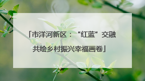 市洋河新区：“红蓝”交融 共绘乡村振兴幸福画卷