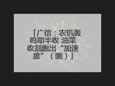 广信：农机轰鸣助丰收 油菜收割跑出“加速度”（图）