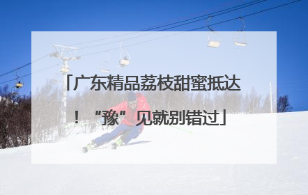 广东精品荔枝甜蜜抵达！“豫”见就别错过