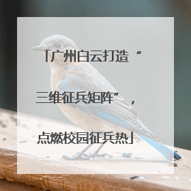 广州白云打造“三维征兵矩阵”，点燃校园征兵热