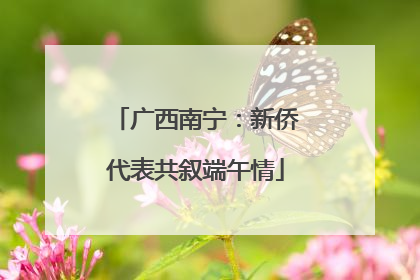 广西南宁：新侨代表共叙端午情