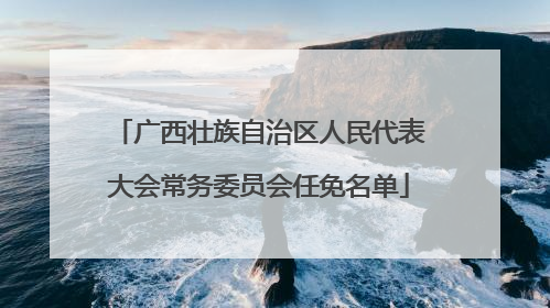 广西壮族自治区人民代表大会常务委员会任免名单