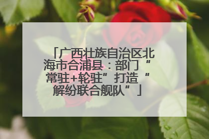 广西壮族自治区北海市合浦县：部门“常驻+轮驻”打造“解纷联合舰队”