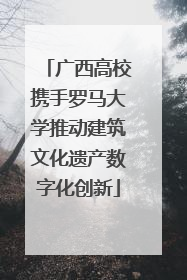 广西高校携手罗马大学推动建筑文化遗产数字化创新