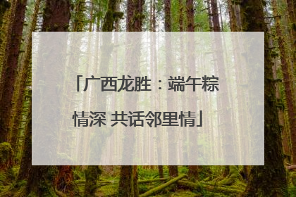 广西龙胜：端午粽情深 共话邻里情