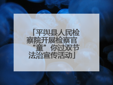 平舆县人民检察院开展检察官“童”你过双节法治宣传活动