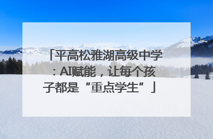 平高松雅湖高级中学：AI赋能，让每个孩子都是“重点学生”