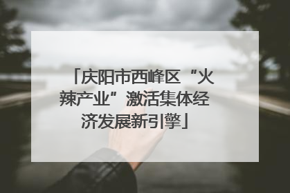 庆阳市西峰区“火辣产业”激活集体经济发展新引擎