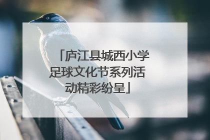 庐江县城西小学足球文化节系列活动精彩纷呈