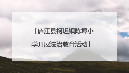 庐江县柯坦镇陈埠小学开展法治教育活动
