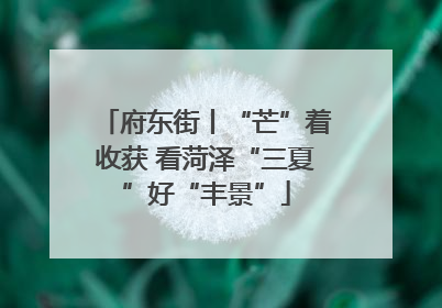 府东街丨“芒”着收获 看菏泽“三夏”好“丰景”