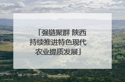 强链聚群 陕西持续推进特色现代农业提质发展