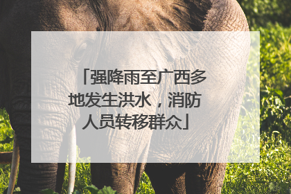 强降雨至广西多地发生洪水，消防人员转移群众