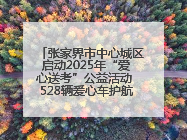 张家界市中心城区启动2025年“爱心送考”公益活动 528辆爱心车护航高考学子