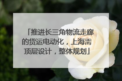 推进长三角物流走廊的货运电动化，上海需顶层设计，整体规划