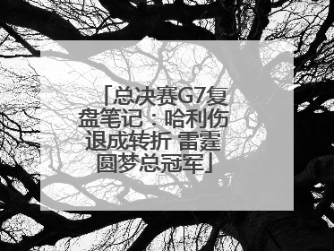 总决赛G7复盘笔记：哈利伤退成转折 雷霆圆梦总冠军