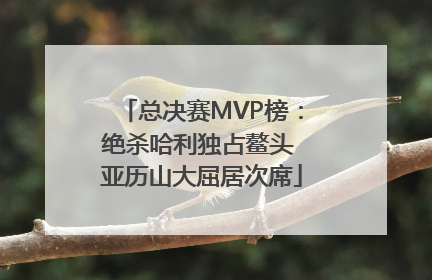 总决赛MVP榜：绝杀哈利独占鳌头 亚历山大屈居次席
