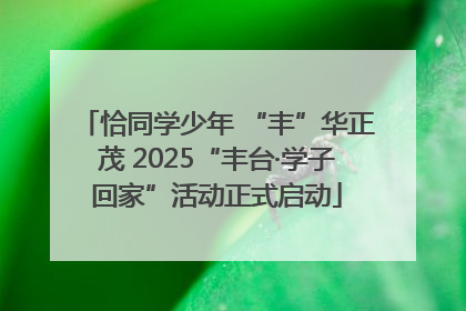 恰同学少年 “丰”华正茂 2025“丰台·学子回家”活动正式启动