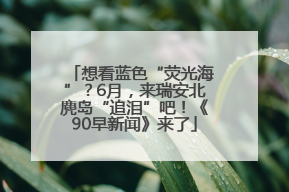 想看蓝色“荧光海”？6月，来瑞安北麂岛“追泪”吧！《90早新闻》来了