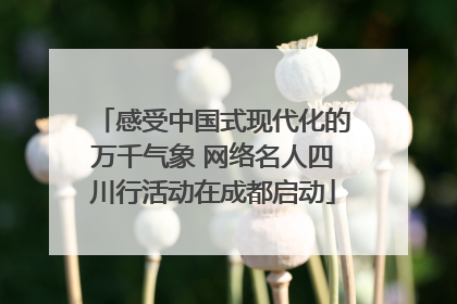 感受中国式现代化的万千气象 网络名人四川行活动在成都启动