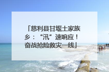 慈利县甘堰土家族乡：“汛”速响应！奋战抢险救灾一线