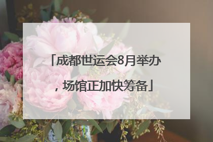 成都世运会8月举办，场馆正加快筹备