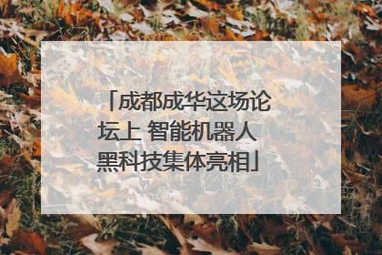 成都成华这场论坛上 智能机器人黑科技集体亮相