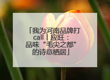 我为河南品牌打call丨应旺：品味“毛尖之都”的诗意栖居