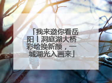 我来邀你看岳阳丨洞庭湖大桥彩绘换新颜，一城湖光入画来