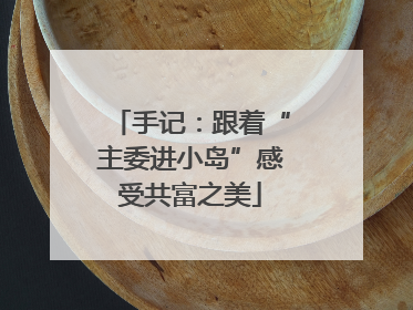 手记：跟着“主委进小岛”感受共富之美