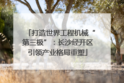 打造世界工程机械“第三极”：长沙经开区引领产业格局重塑