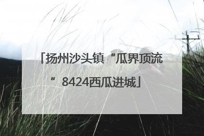 扬州沙头镇“瓜界顶流”8424西瓜进城