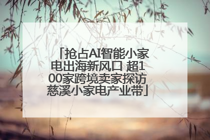 抢占AI智能小家电出海新风口 超100家跨境卖家探访慈溪小家电产业带