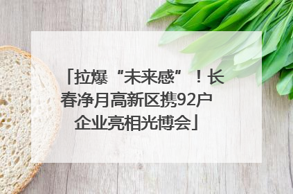 拉爆“未来感”！长春净月高新区携92户企业亮相光博会