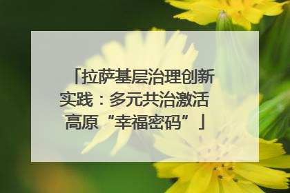 拉萨基层治理创新实践：多元共治激活高原“幸福密码”