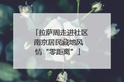 拉萨周走进社区 南京居民藏地风情“零距离”