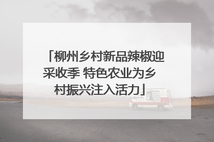 柳州乡村新品辣椒迎采收季 特色农业为乡村振兴注入活力