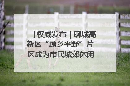 权威发布｜聊城高新区“顾乡平野”片区成为市民城郊休闲全新目的地