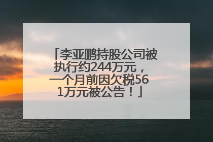 李亚鹏持股公司被执行约244万元，一个月前因欠税561万元被公告！