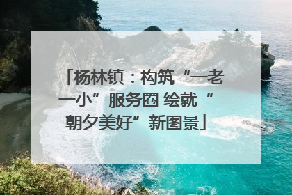 杨林镇：构筑“一老一小”服务圈 绘就“朝夕美好”新图景