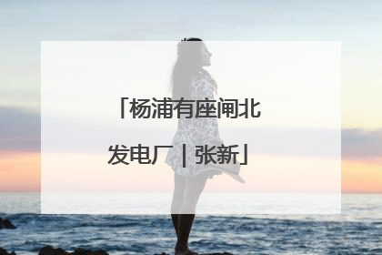 杨浦有座闸北发电厂｜张新