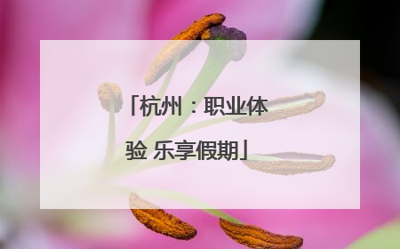 杭州：职业体验 乐享假期