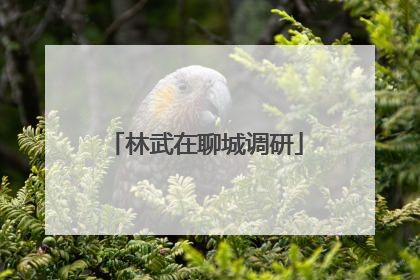 林武在聊城调研