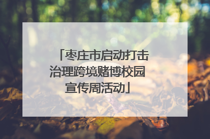 枣庄市启动打击治理跨境赌博校园宣传周活动