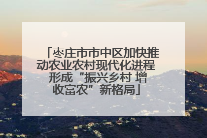 枣庄市市中区加快推动农业农村现代化进程 形成“振兴乡村 增收富农”新格局