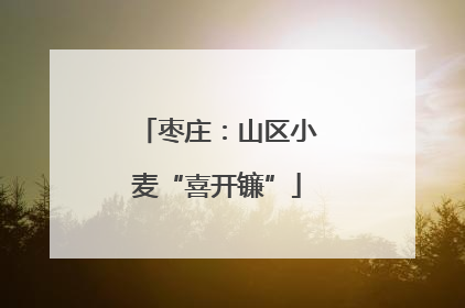 枣庄：山区小麦“喜开镰”