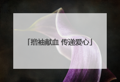 撸袖献血 传递爱心