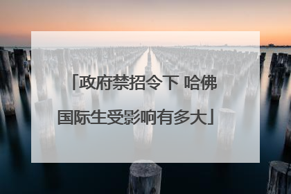 政府禁招令下 哈佛国际生受影响有多大