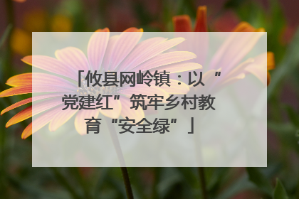 攸县网岭镇：以“党建红”筑牢乡村教育“安全绿”